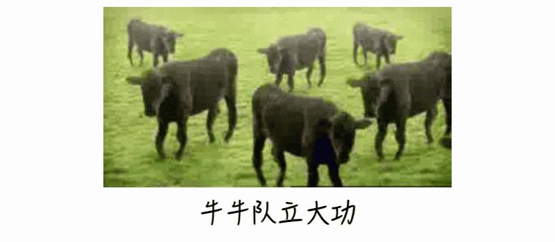胳膊上的“花”是预防天花的吗?猴痘、牛痘、天花、水痘有何区别? - 知乎