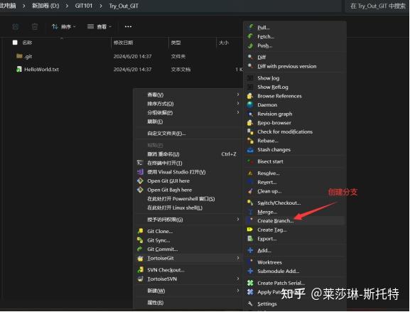 Git 101: TortoiseGit 简易教程 - 知乎