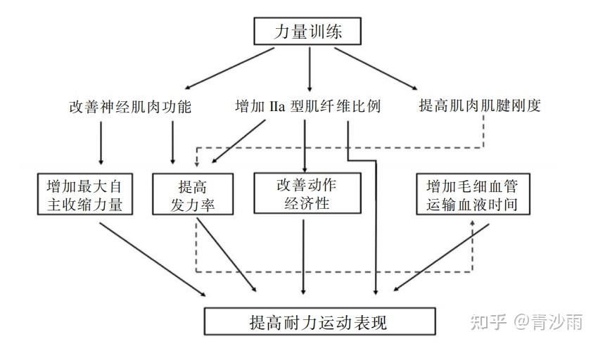 能为主的训练方式,特点是运动强度比较大,主要是低重复的肌肉收缩形式