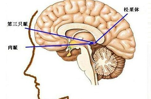 v2-70e22faca0e7b407bae7a8c2489f3315_1440w.jpg?source=172ae18b