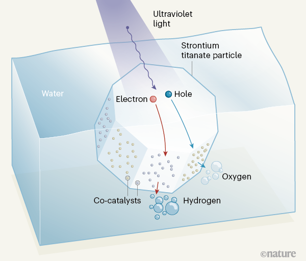 nature光解水催化剂效率接近100日本科学家灵光一闪马斯克移民火星的