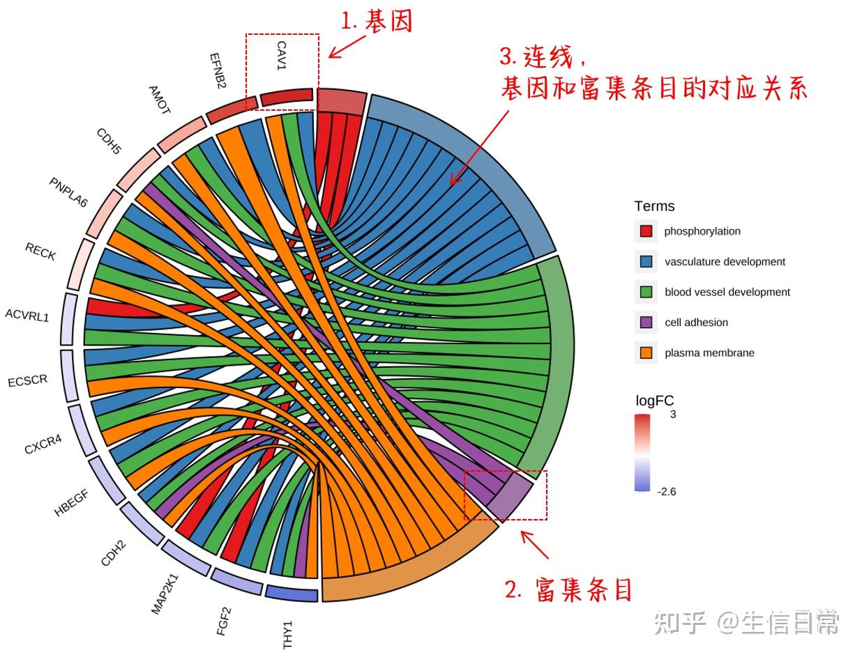 什么是富集分析？手把手教你理解富集分析 - 知乎