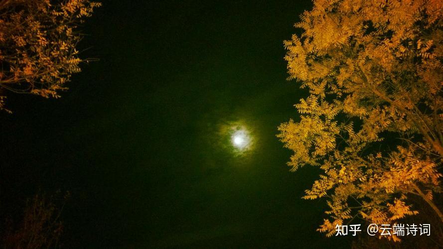 十五首唯美的秋夜诗词,铺床凉满梧桐月,月在梧桐缺处明 - 知乎