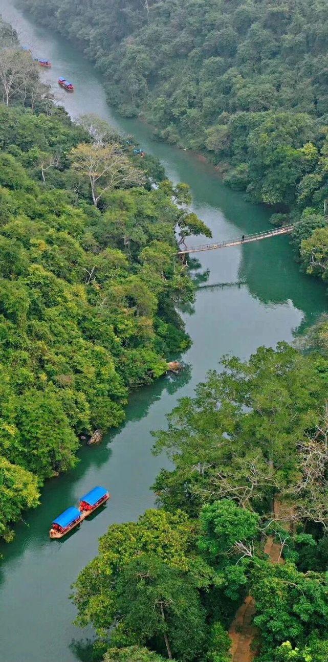 养生有三宝,吃好,睡好,活动好在360°全景森林餐吧用餐不仅可以品味