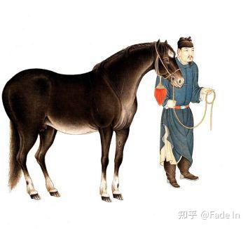 “天癸”不是“天葵草” - 知乎