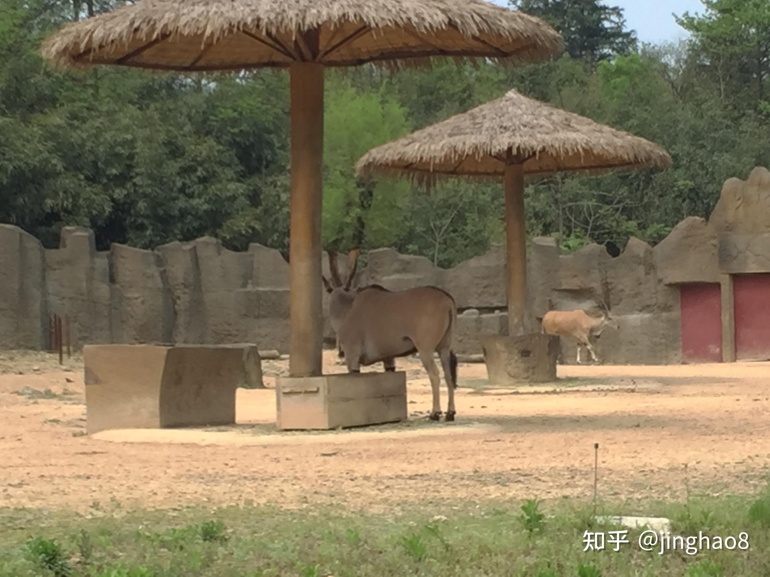 杭州野生動物園