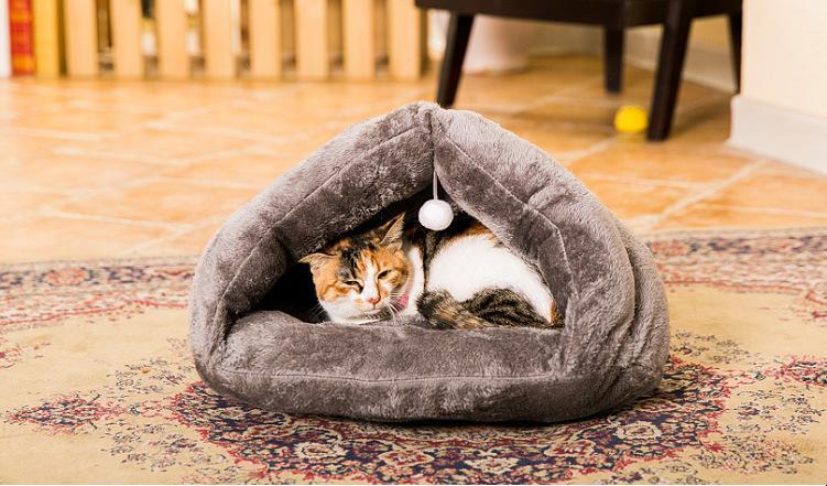 如何让猫咪乖乖在猫窝睡觉