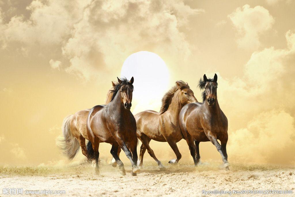 深夜故事铺老马