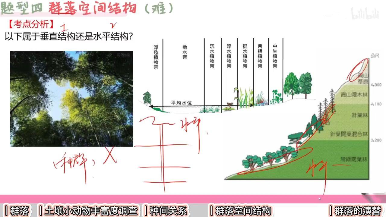 植物群落平面图图片