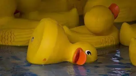 干货deadduck是死鸭子吗