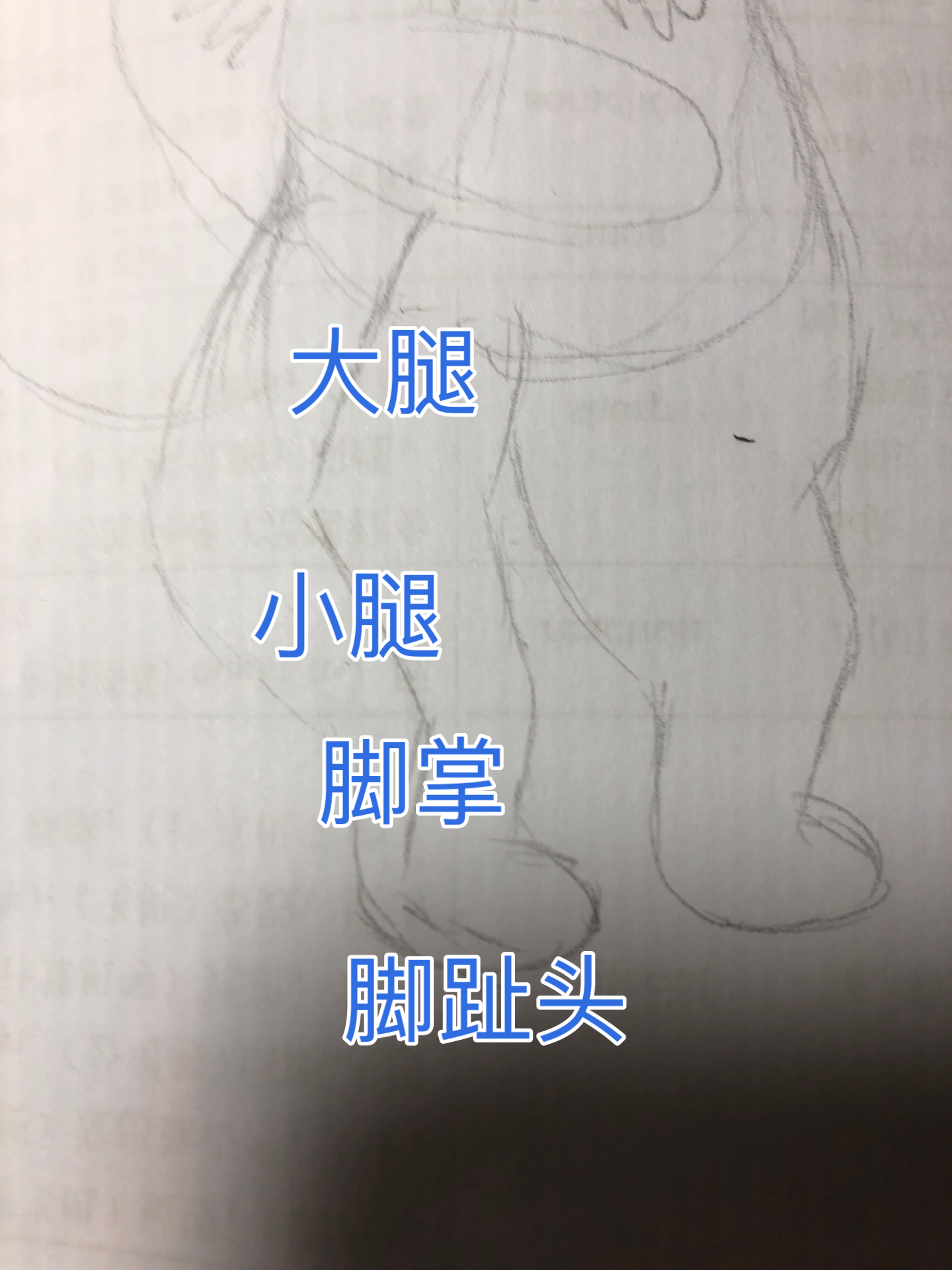 如何画一只自己的兽兽? - 知乎