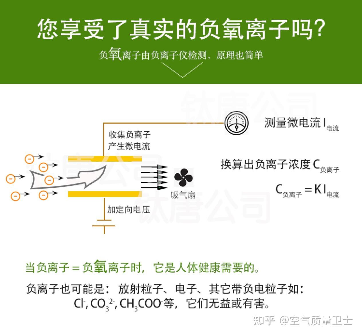 负氧离子：空气中的“长寿素”，提升健康生活的关键(图3)