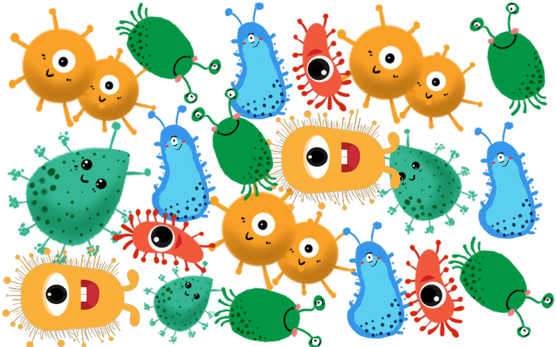 what益生菌有害关于肠道菌群你应该知道的事