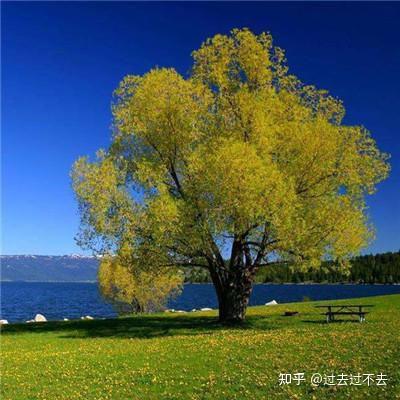 文案短句干净治愈一段(100句文案短句干净治愈)