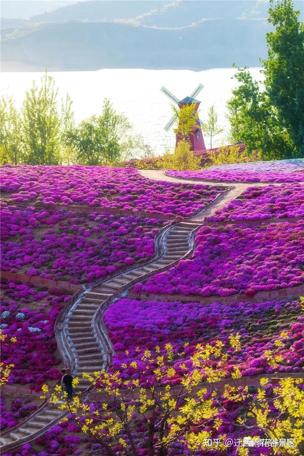 迁安雨花谷图片