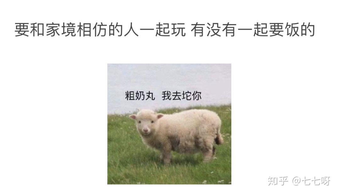 v2-71f54a7e687eb7831eb44bcd4f6aad73_r.jpg