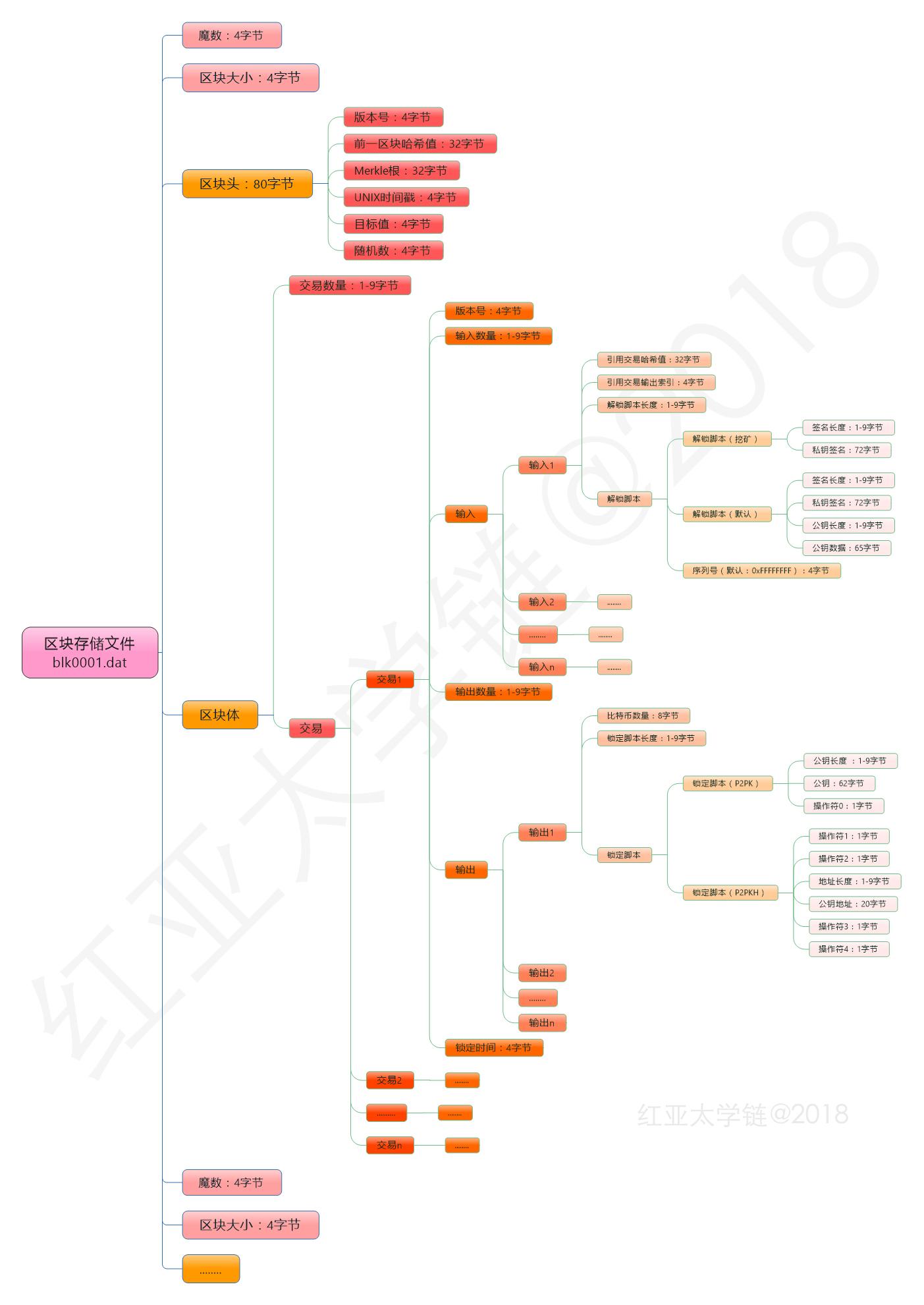 比特币区块数据结构思维导图- 知乎