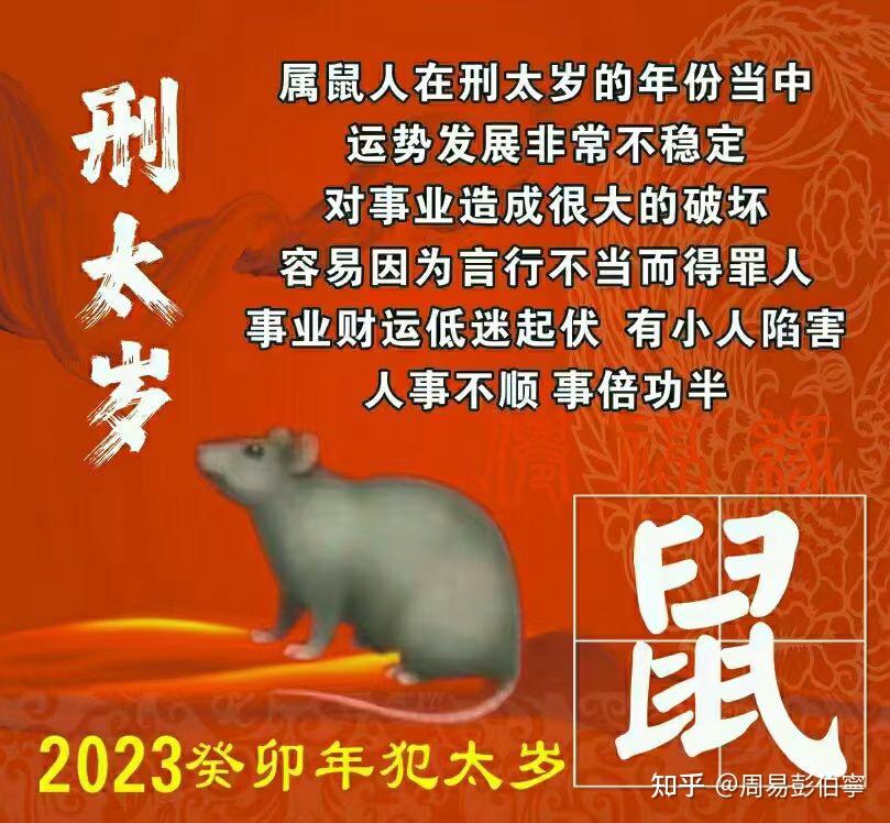 2023年癸卯黑兔五个生肖犯太岁 - 知乎