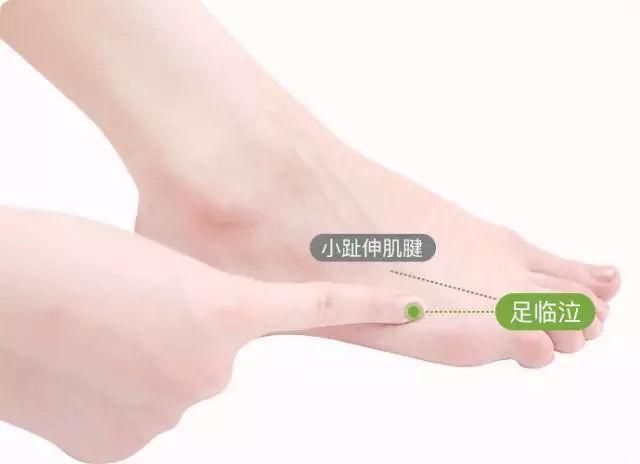 例如当女性的月经推迟或提前到来,都可通过按揉足临泣使月经恢复正常.
