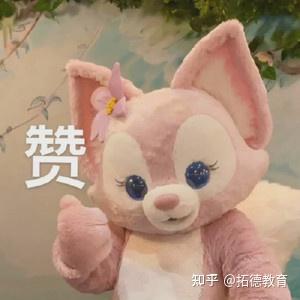 专升本的8大问题盘点,你知道哪些?插图2 专升本的8大问题盘点,你知道哪些?插图2