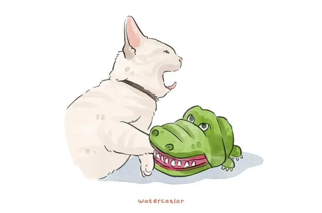 60张沙雕猫咪名场面告诉你,原谅我不厚道的笑了哈哈哈哈