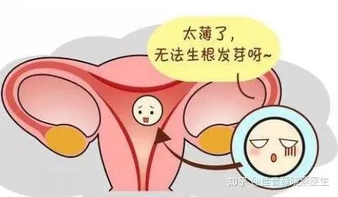 取卵後卵巢都有哪些變化