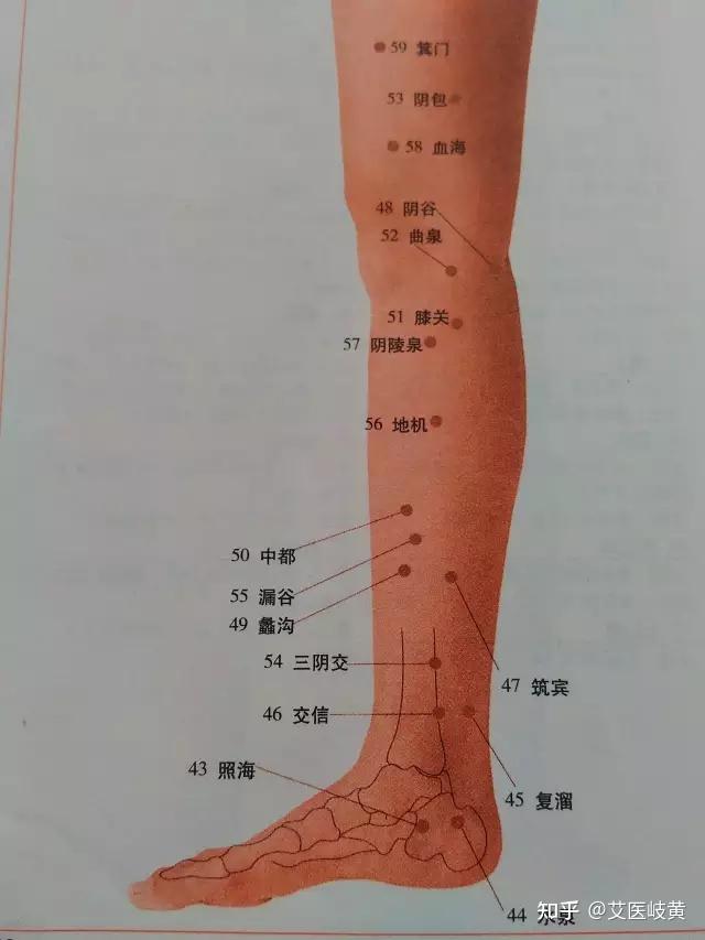 默認最新峰迴路轉感謝感謝,非常詳解的穴位圖,舢舨內關,外關標錯位置