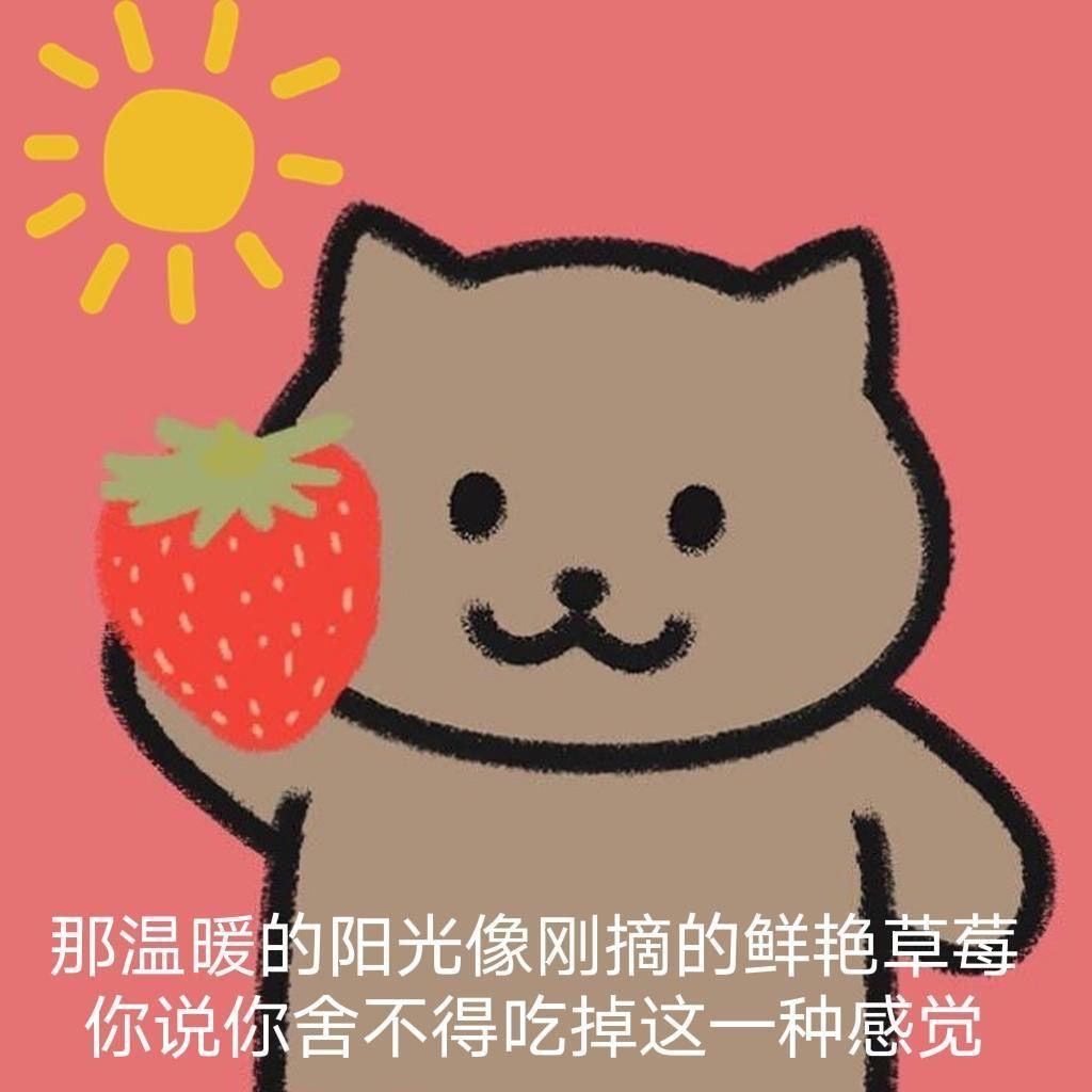 周杰伦歌词猫猫表情包