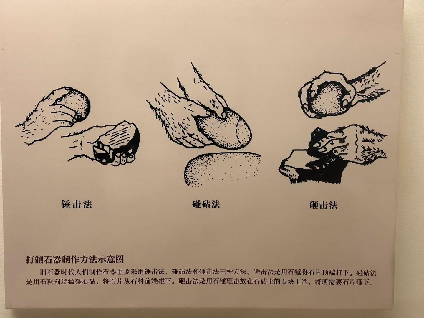 【北京游记】中国国家博物馆:中国古代基本陈列(一)远古时期 - 知乎