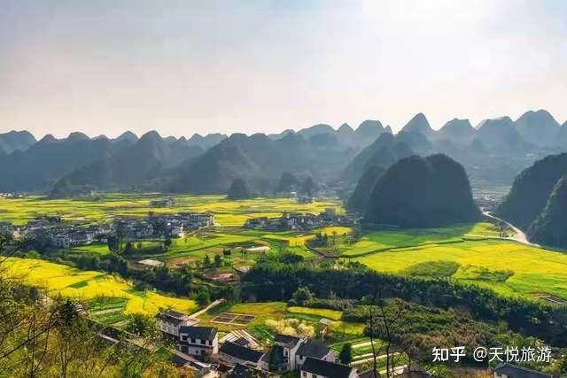 全國油菜花開得最早的地方興義萬峰林一起來擁抱早春吧