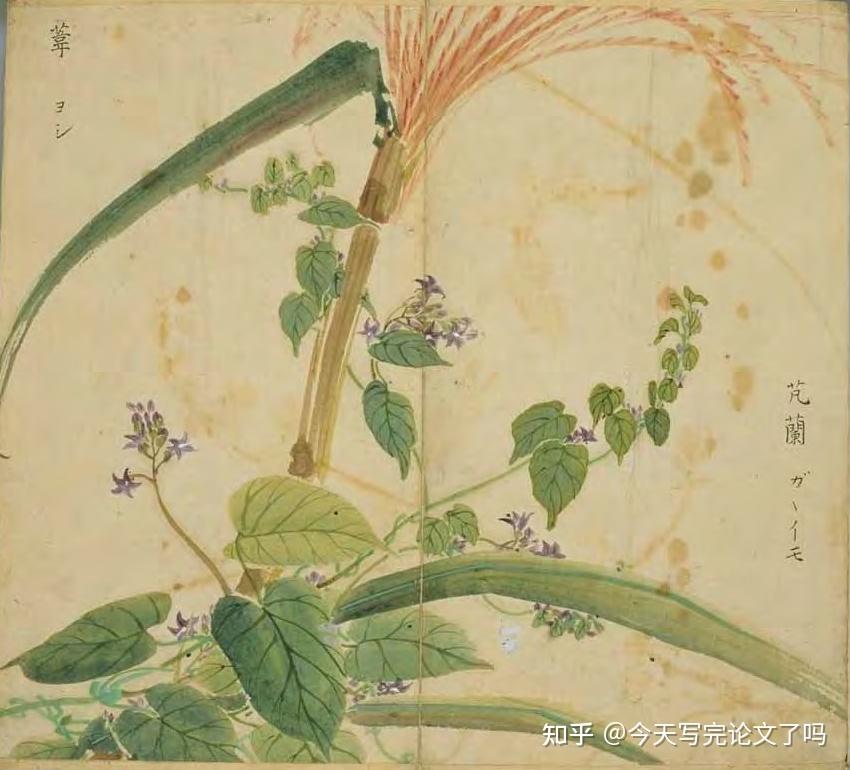 61天读完《诗经》day12:《考槃》《硕人》《氓》《竹竿》《芄兰》