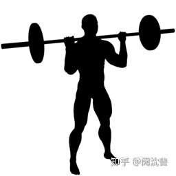 健身动作分解（肩）—站姿杠铃推举 - 知乎