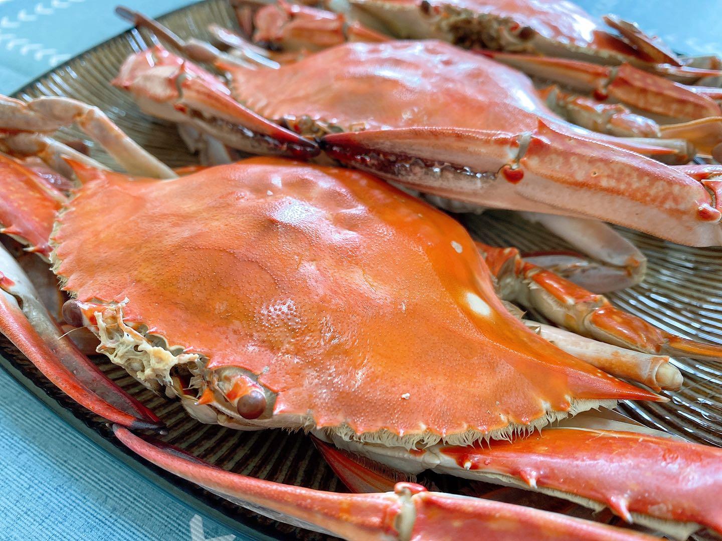 舟山野生梭子蟹