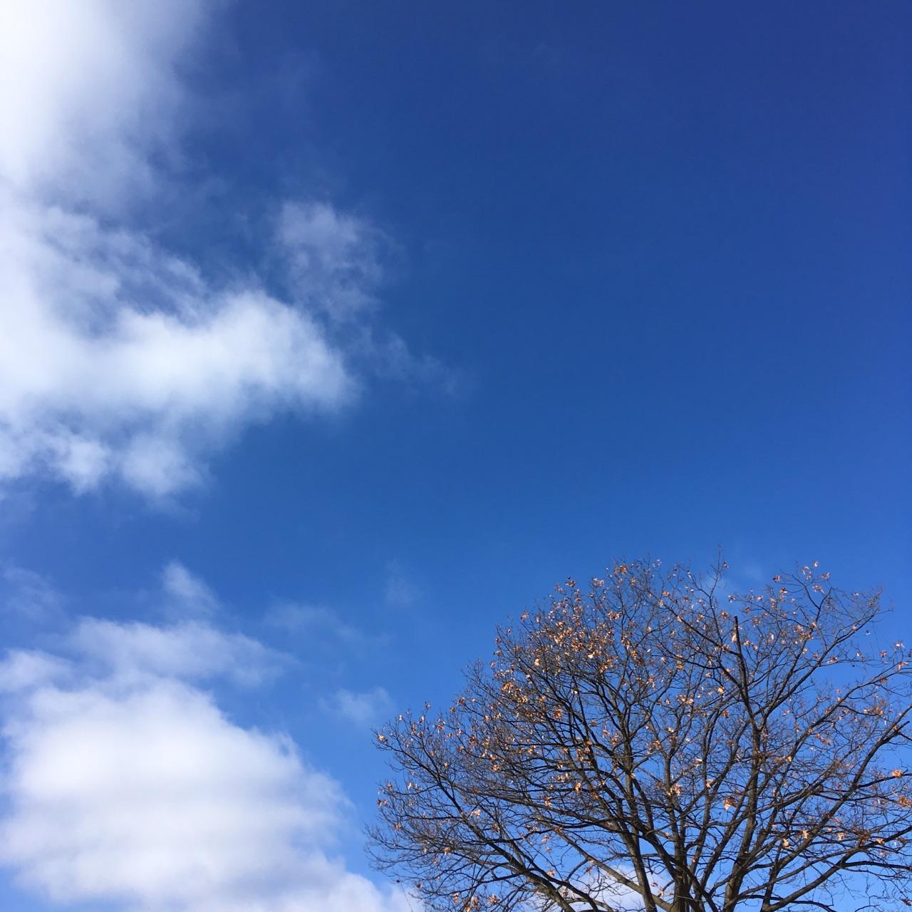 在俄亥俄州立大学 (OSU) 就读是怎样一番体验