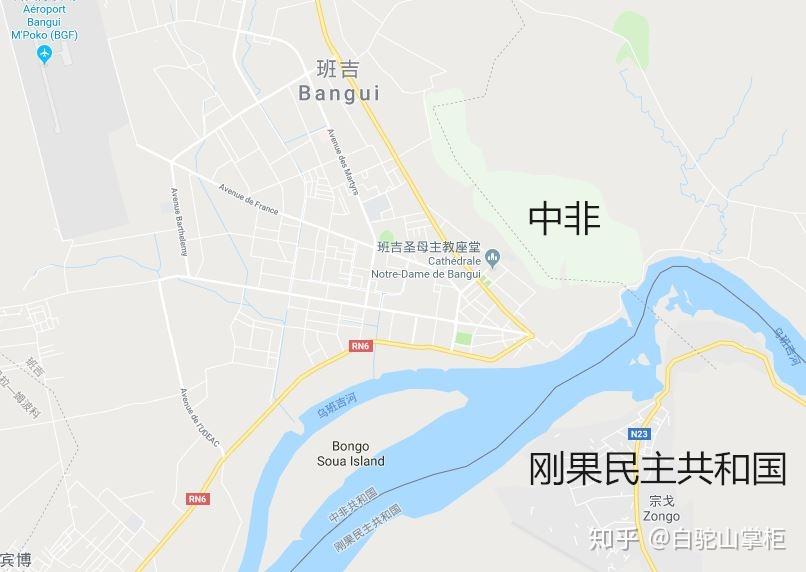 放大图可以看到,恩贾梅纳沿河岸的市区对着喀麦隆的库塞里.