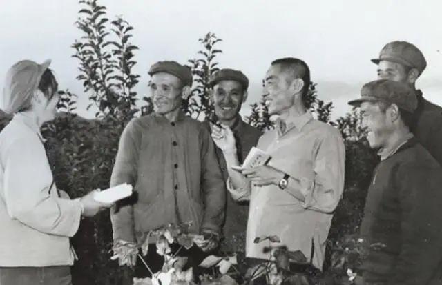 “文革”第一作家浩然：我从没为以前作品后悔过 - 知乎