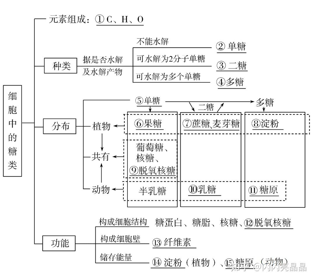 高中生物學大概念分子與細胞知識結構圖一輪複習必備