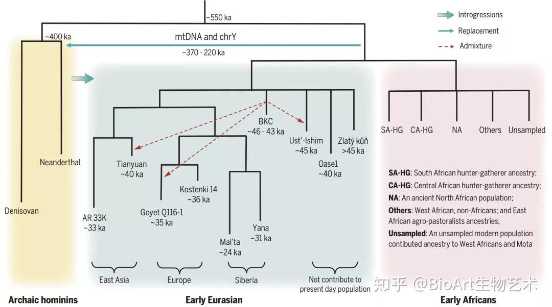 science特刊丨人类基因组计划第一份草图发布20周年镌刻在古dna中的