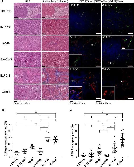 刊·见 | Journal of Drug Targeting领航分子和大分子药物前沿研究 - 知乎