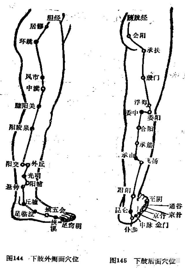 大腿内侧血位置示意图图片