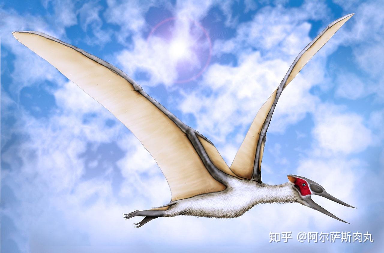 「Prehistoric Park丨史前公园 5」天空帝国沉浮录—翼龙王朝简史 - 知乎