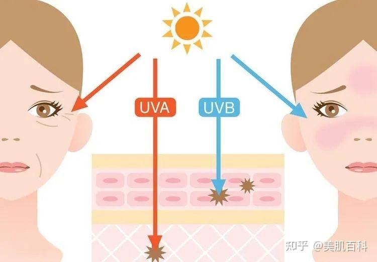 防曬必修課物理防曬vs化學防曬誰更好一點