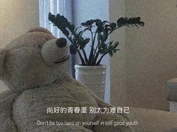 文案句子温柔干净治愈简短生活(文案|有些歌听起来就像是生活被人刨了个底儿)