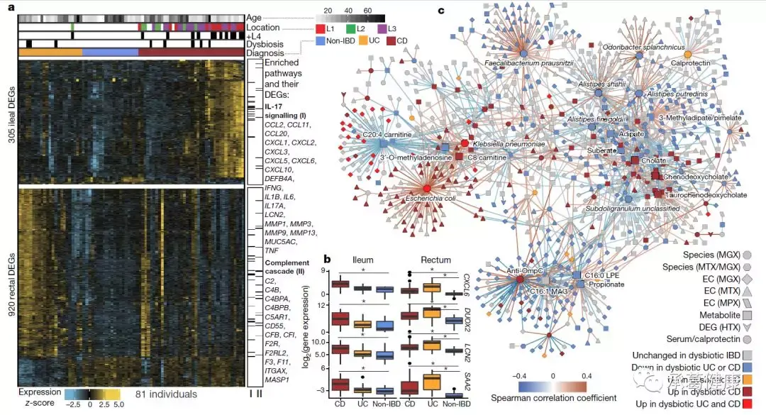 炎症性肠病肠道微生态系统的多组学分析