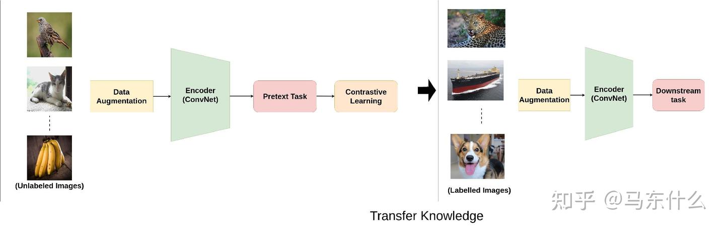 A Survey on Contrastive Self-supervised Learning - 知乎