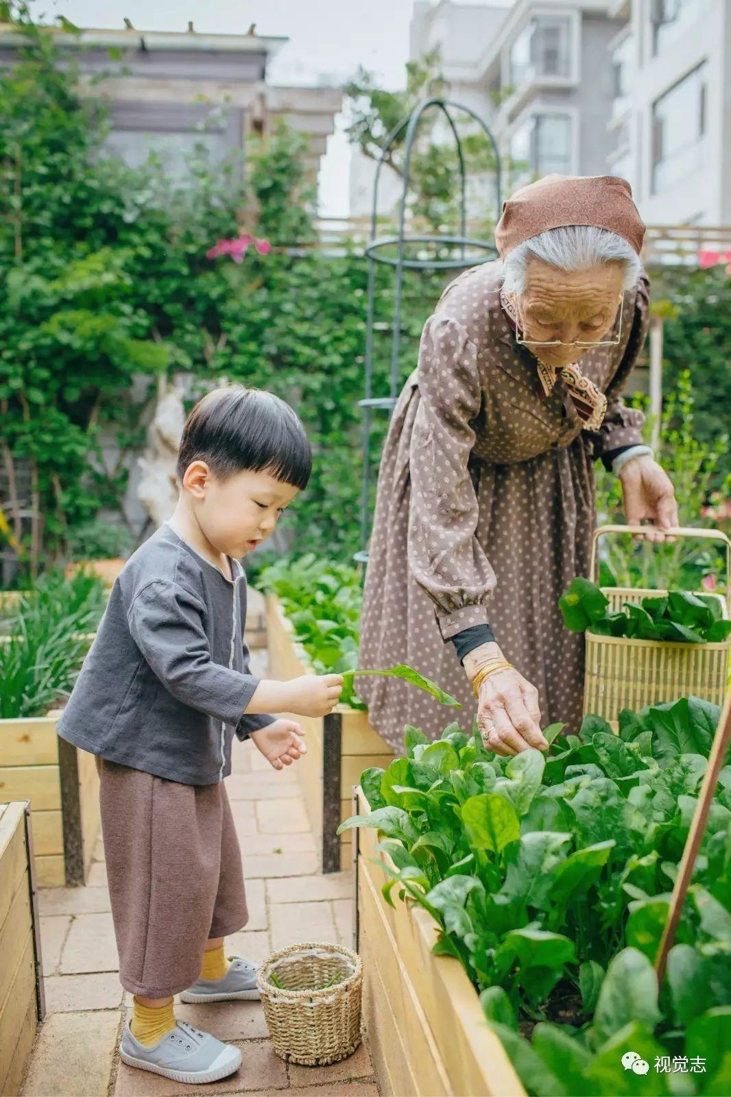 太姥姥,你穿裙子的模樣真可愛.太姥姥,我們歇會吧,我想吃草莓了.