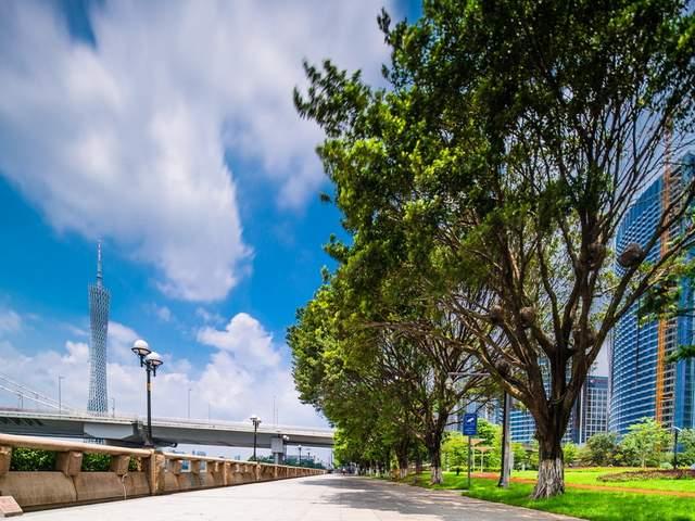 广州这几条绿道美如画必去