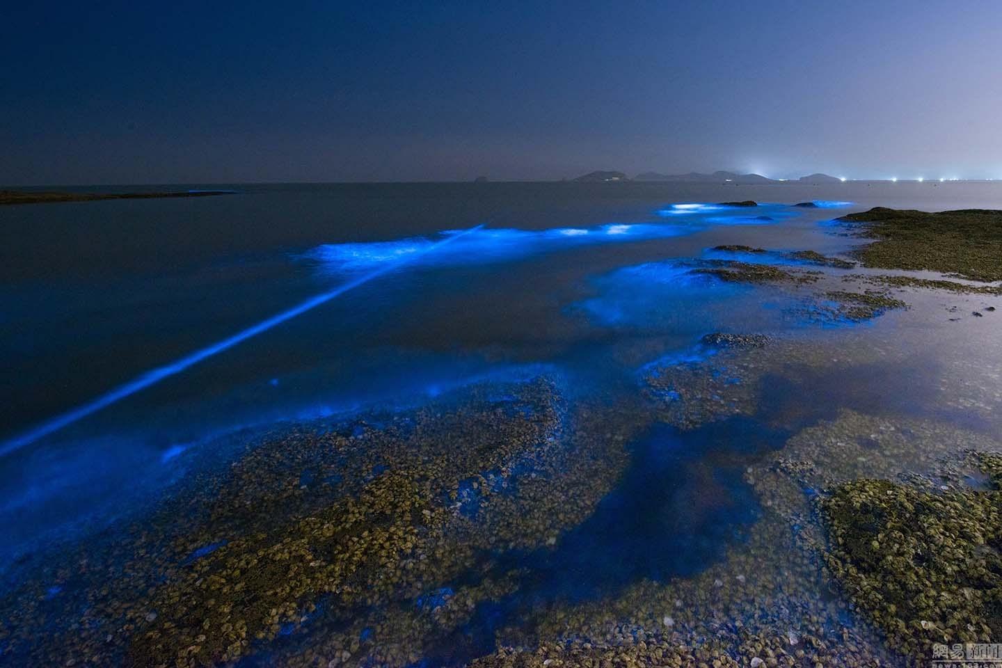 荧光海，传说中最美的海，其实在国内也有~ - 知乎