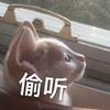 哪所大学的空乘专业是本科 知乎 哪所大学的空乘专业是本科 知乎