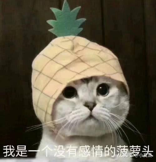 什么时候过冬天文案 v2-7321b9abf3fbef8f601a099e38cd39db_r.jpg